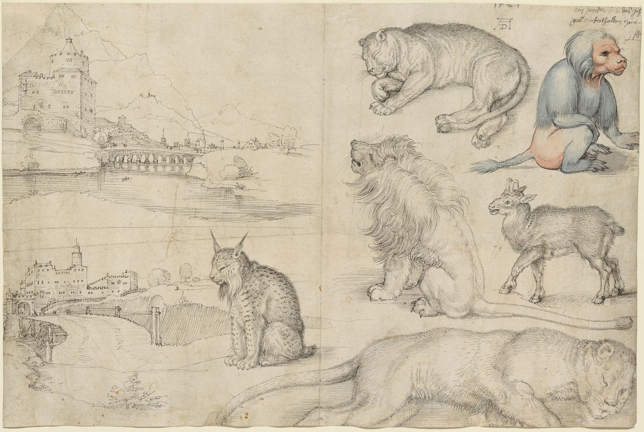 Schizzi di Animali e Paesaggi, 1521 da Albrecht Dürer