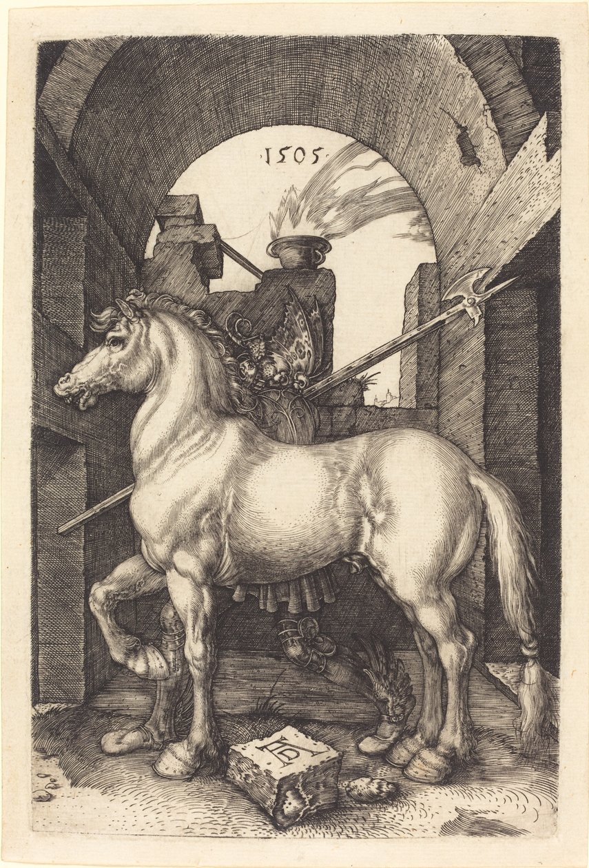 Cavallo Piccolo da Albrecht Dürer
