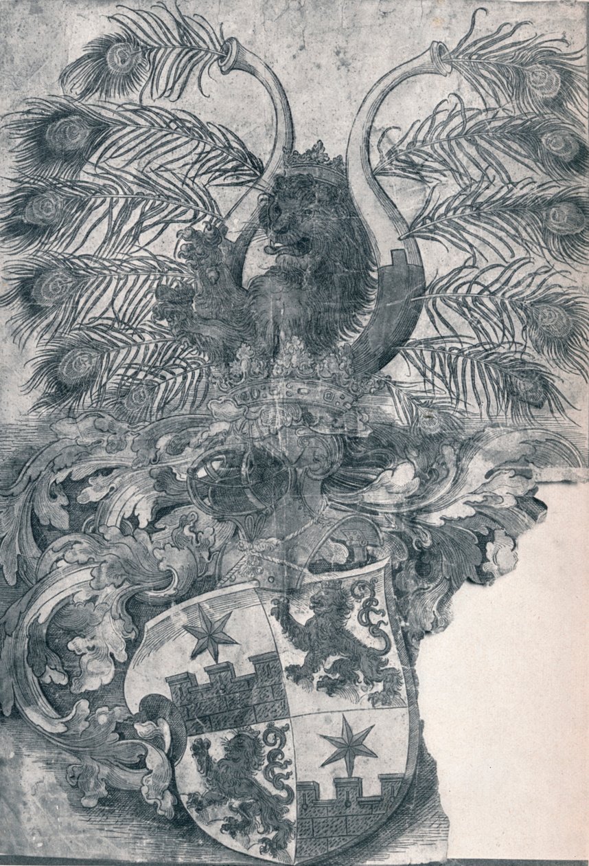 Stemma di Wilhelm e Wolfgang Roggendorff, 1520 1906 da Albrecht Dürer