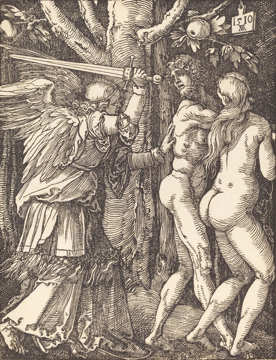 La cacciata dal Paradiso da Albrecht Dürer