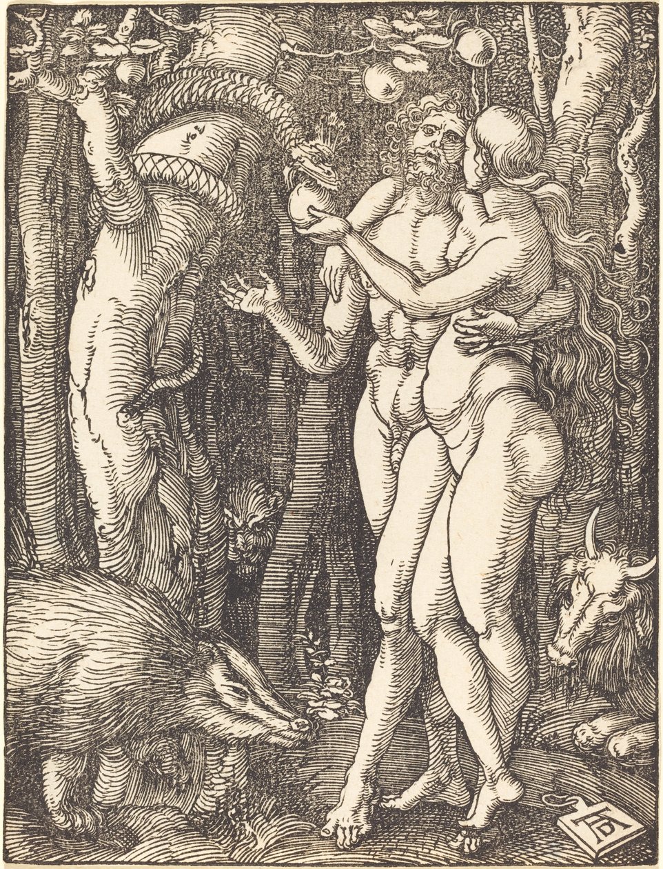 La caduta dell
