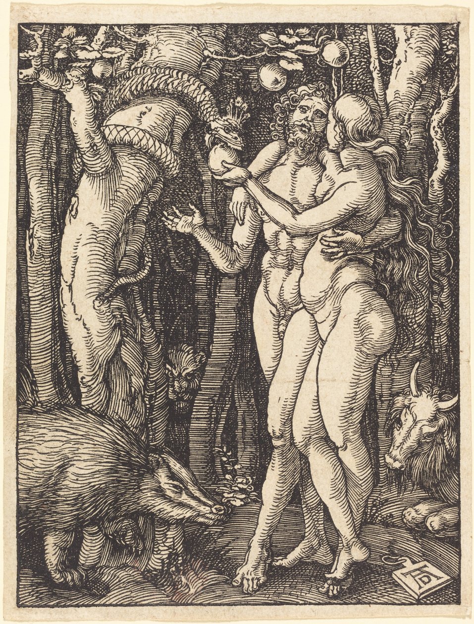 La caduta dell