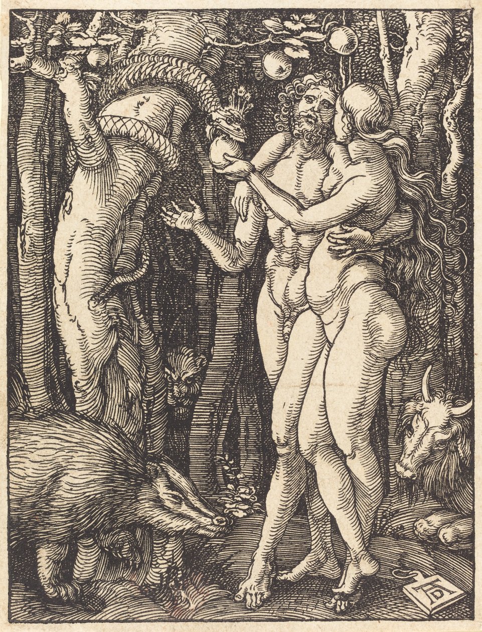 La caduta dell