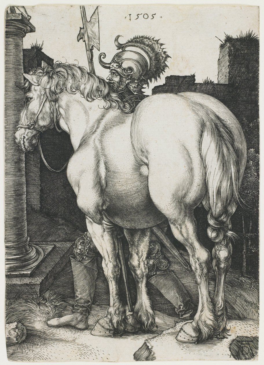 Il grande cavallo da Albrecht Dürer