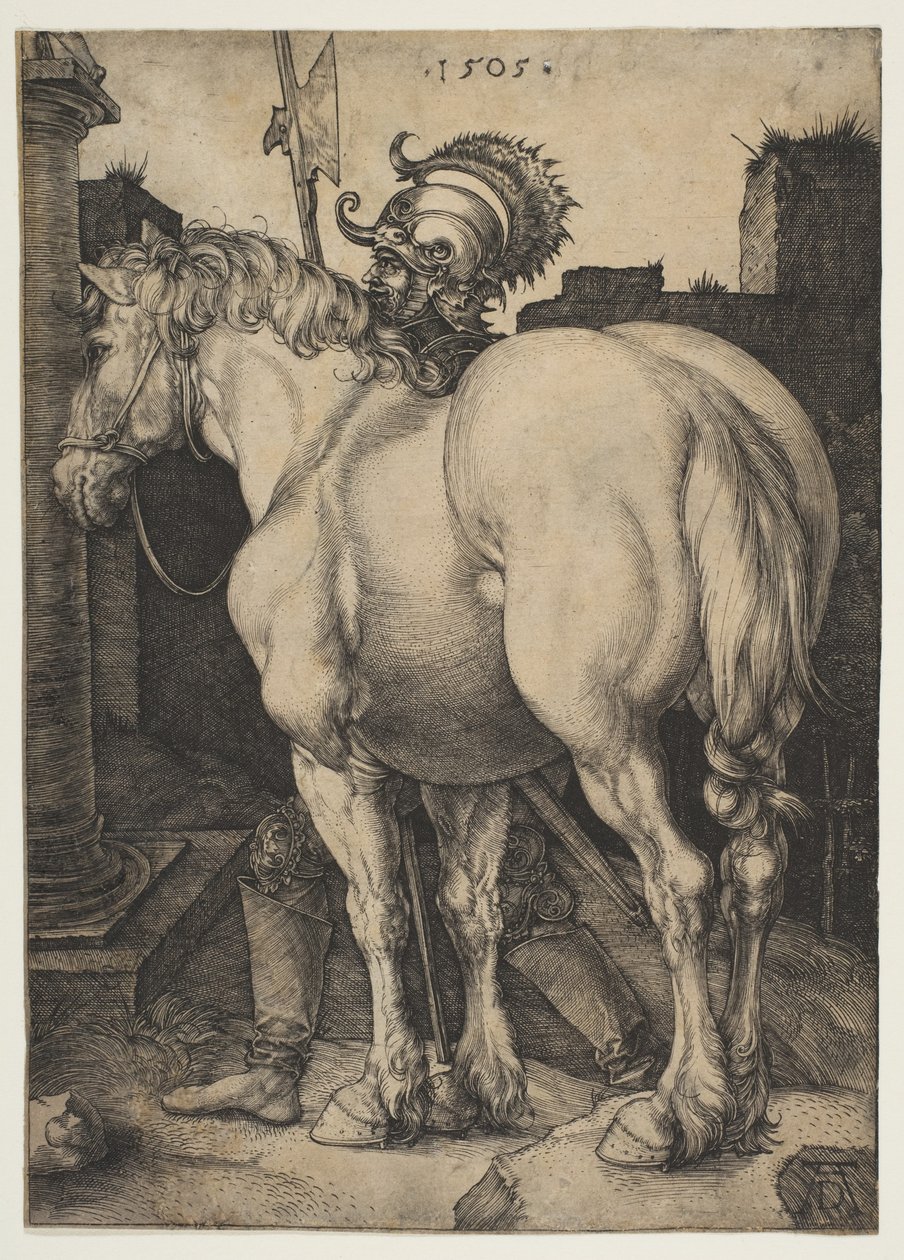 Il grande cavallo da Albrecht Dürer