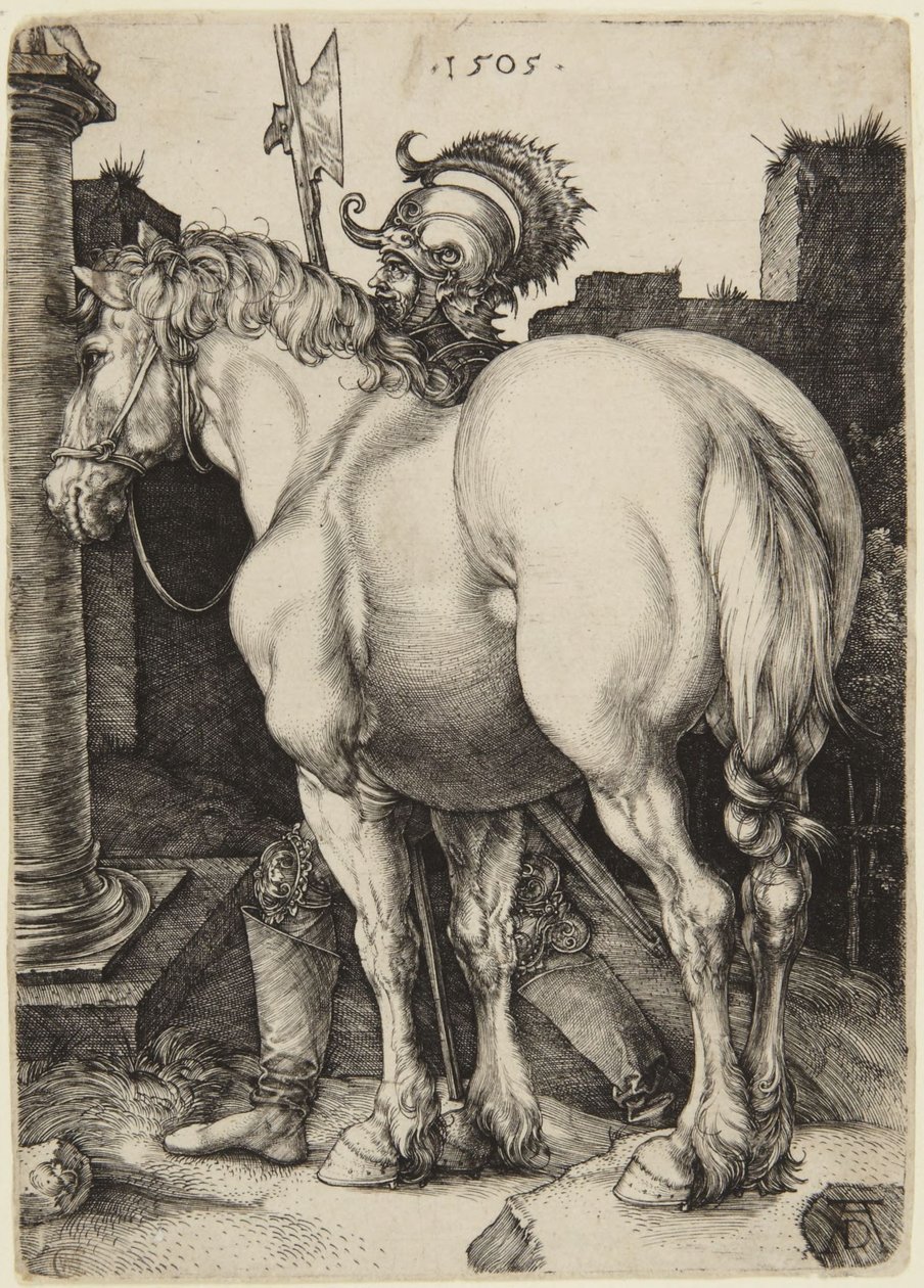 Il grande cavallo da Albrecht Dürer