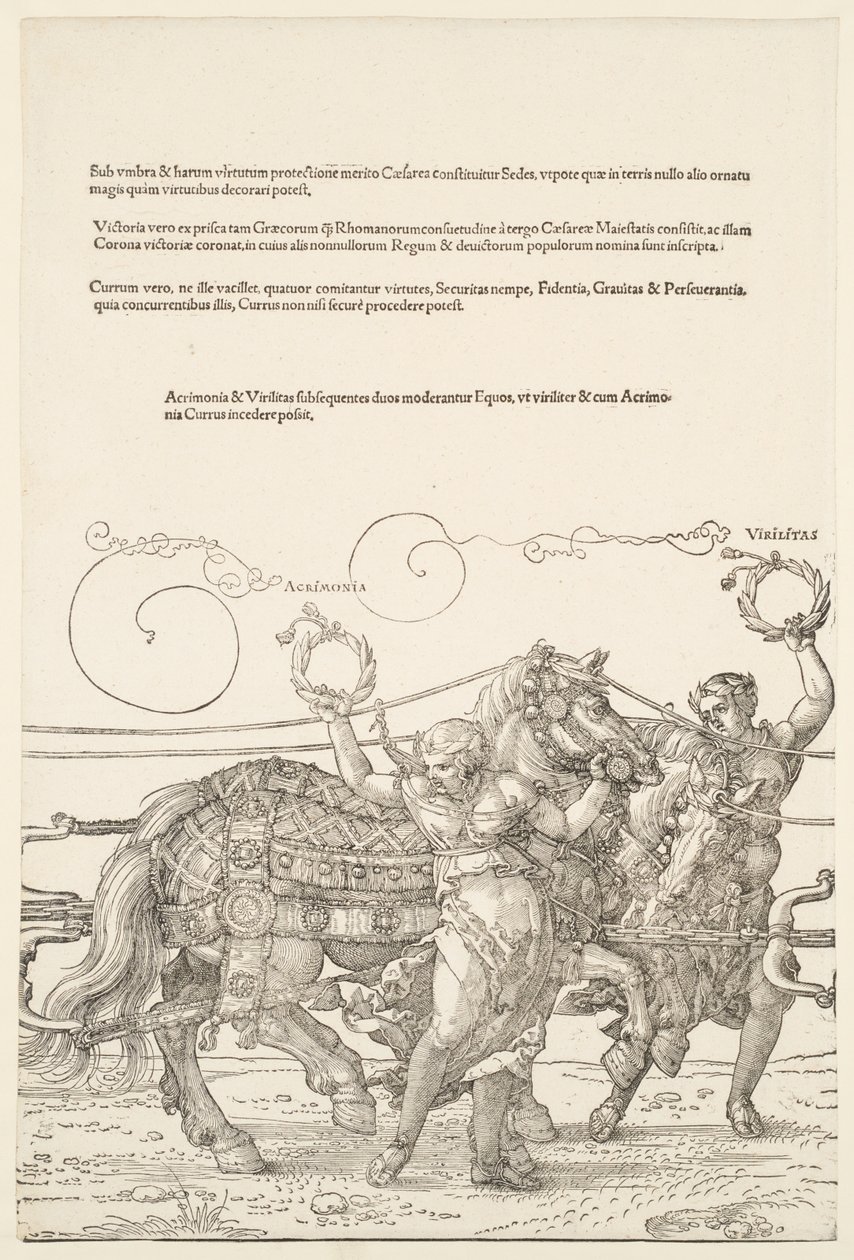 Il grande carro trionfale: Acrimonia e Virilitas da Albrecht Dürer