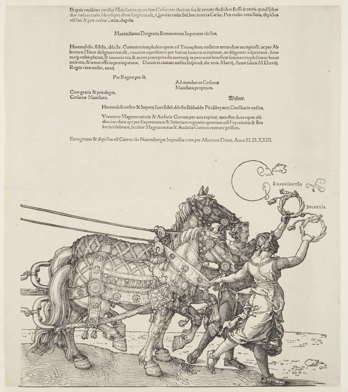 Il grande carro trionfale: Esperienza e abilità da Albrecht Dürer