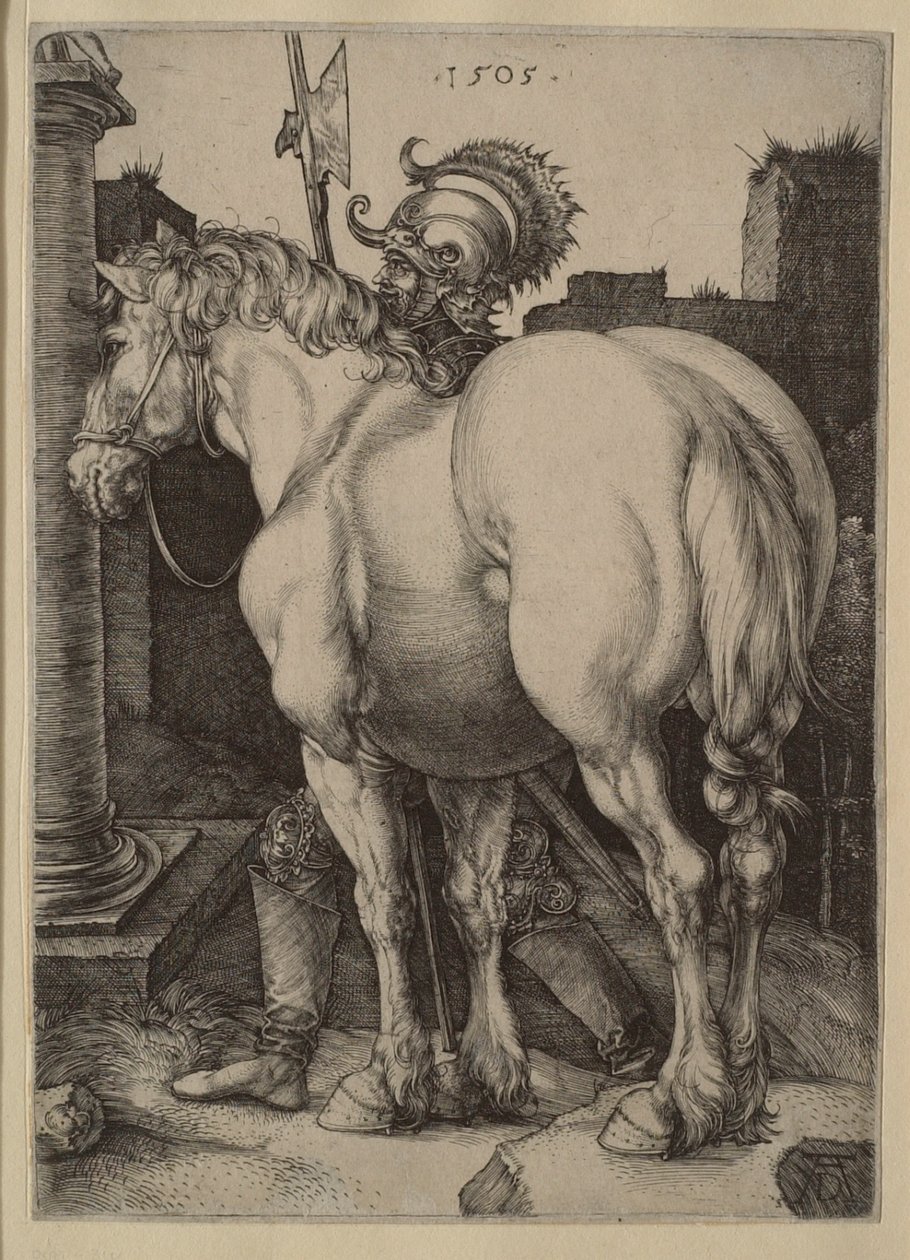Il grande cavallo da Albrecht Dürer