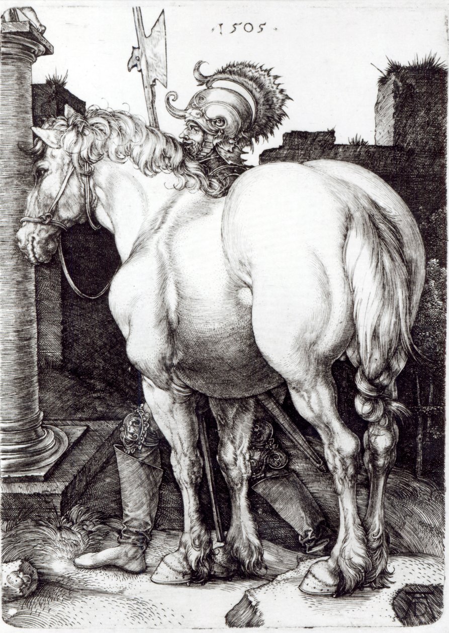 Il grande cavallo, 1509 da Albrecht Dürer