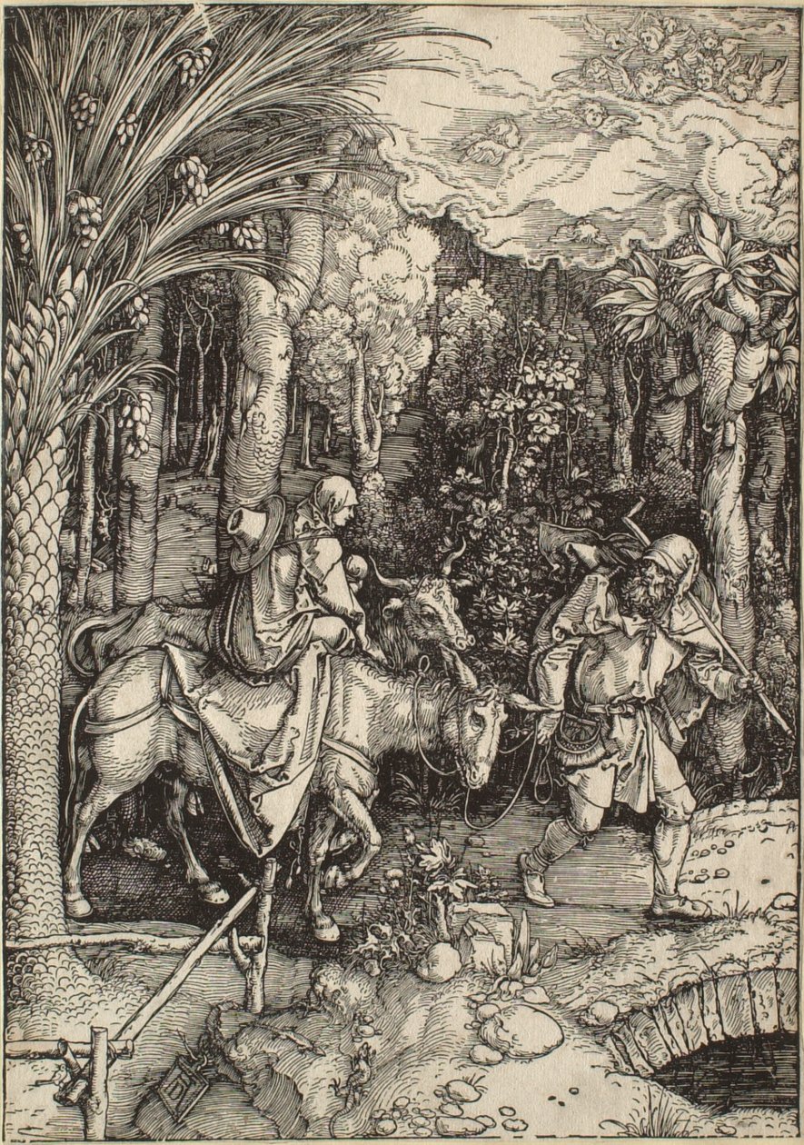 La vita della Vergine: La fuga in Egitto da Albrecht Dürer