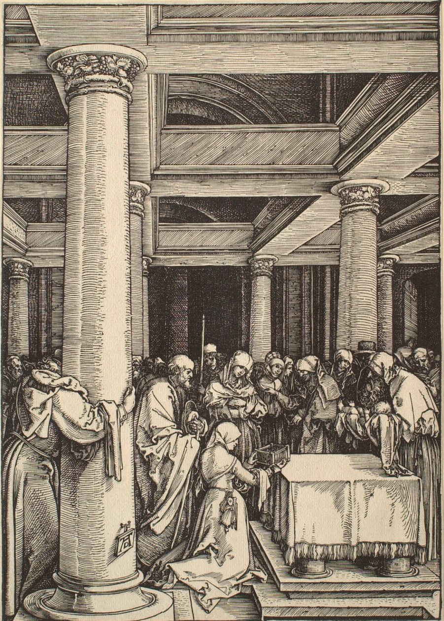 La vita della Vergine: La presentazione al Tempio da Albrecht Dürer