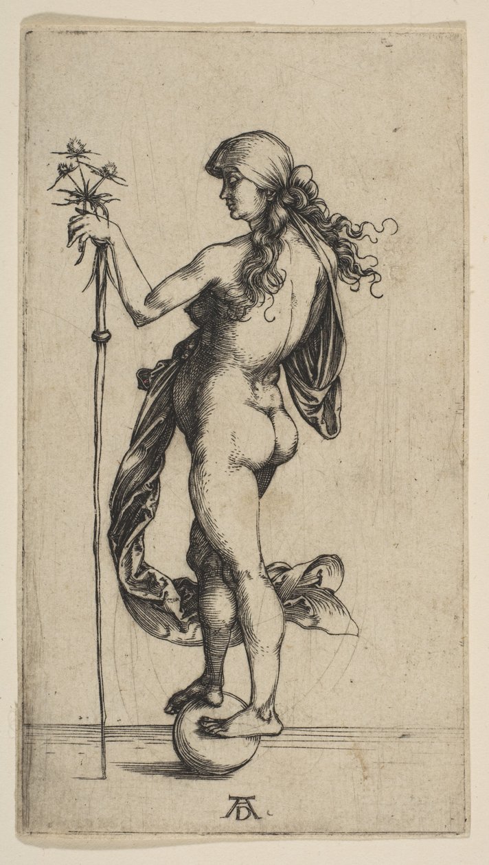 La piccola fortuna da Albrecht Dürer