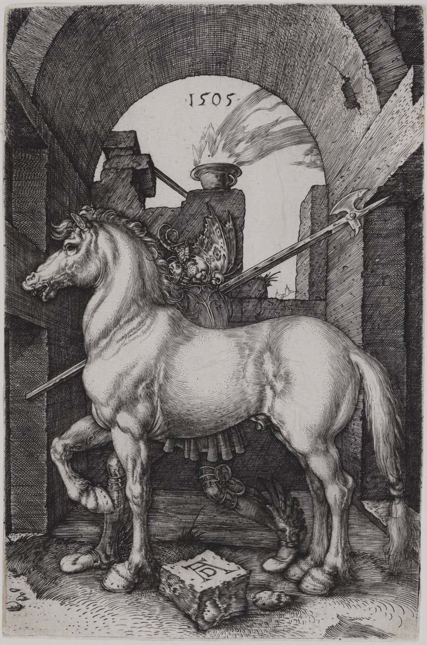 Il piccolo cavallo da Albrecht Dürer