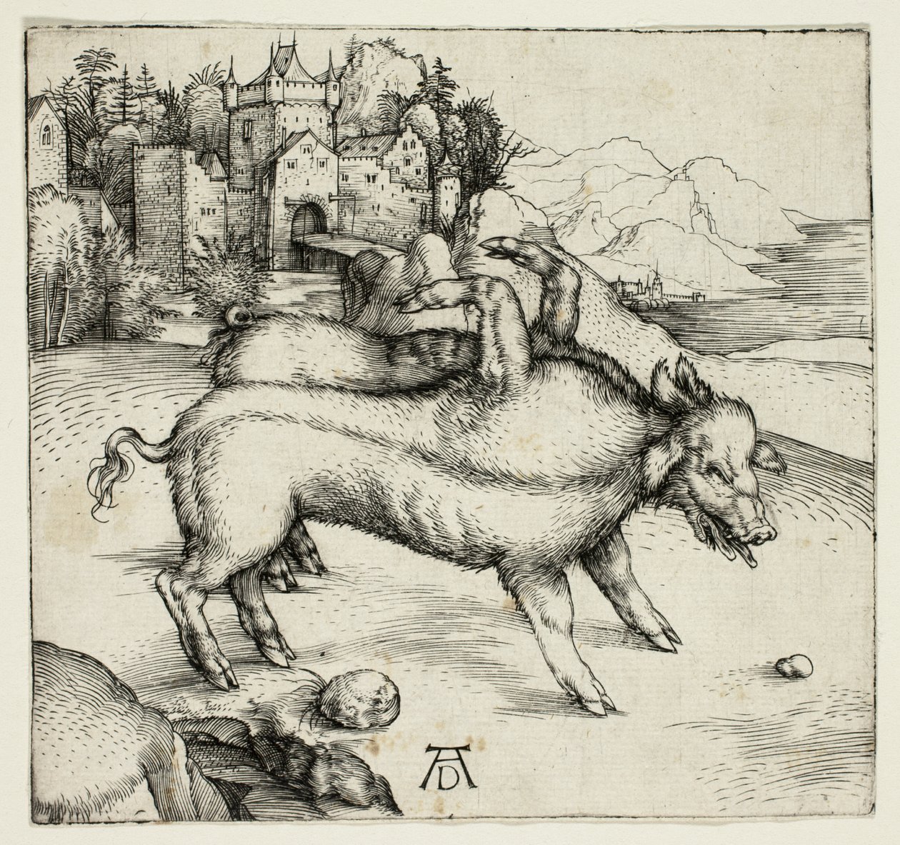 La Scrofa Mostruosa di Landser da Albrecht Dürer