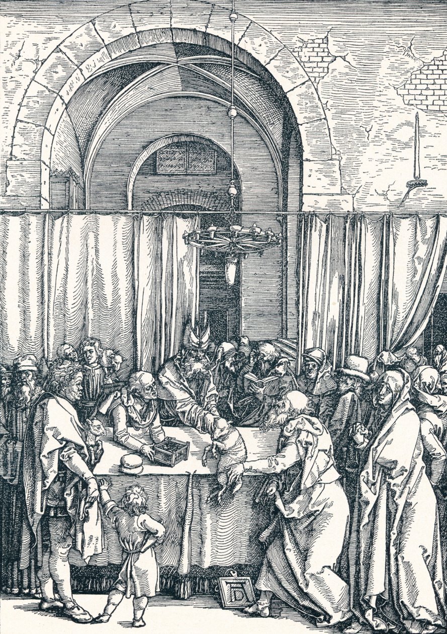 Il Rifiuto dell