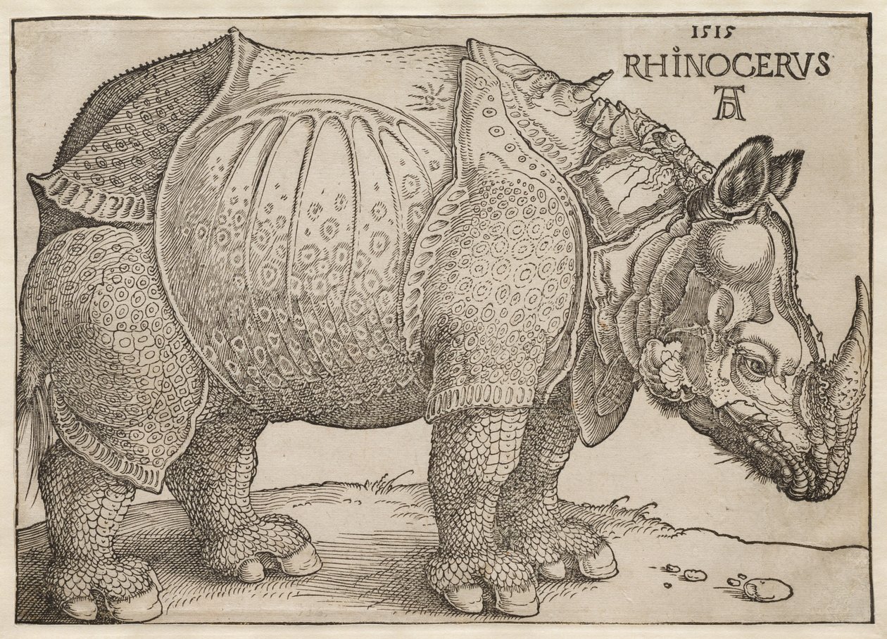 Il rinoceronte da Albrecht Dürer