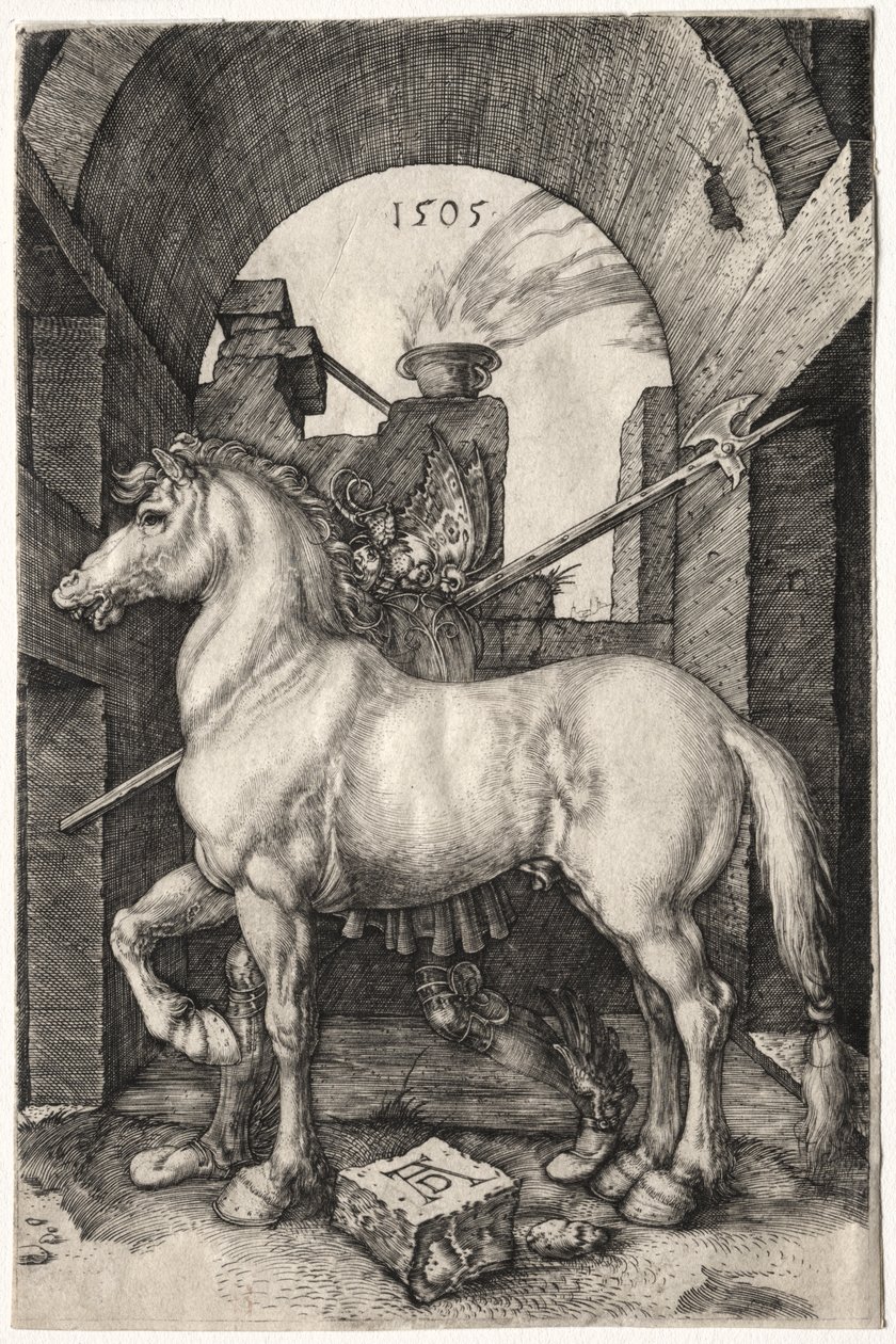 Il Cavallo Piccolo da Albrecht Dürer