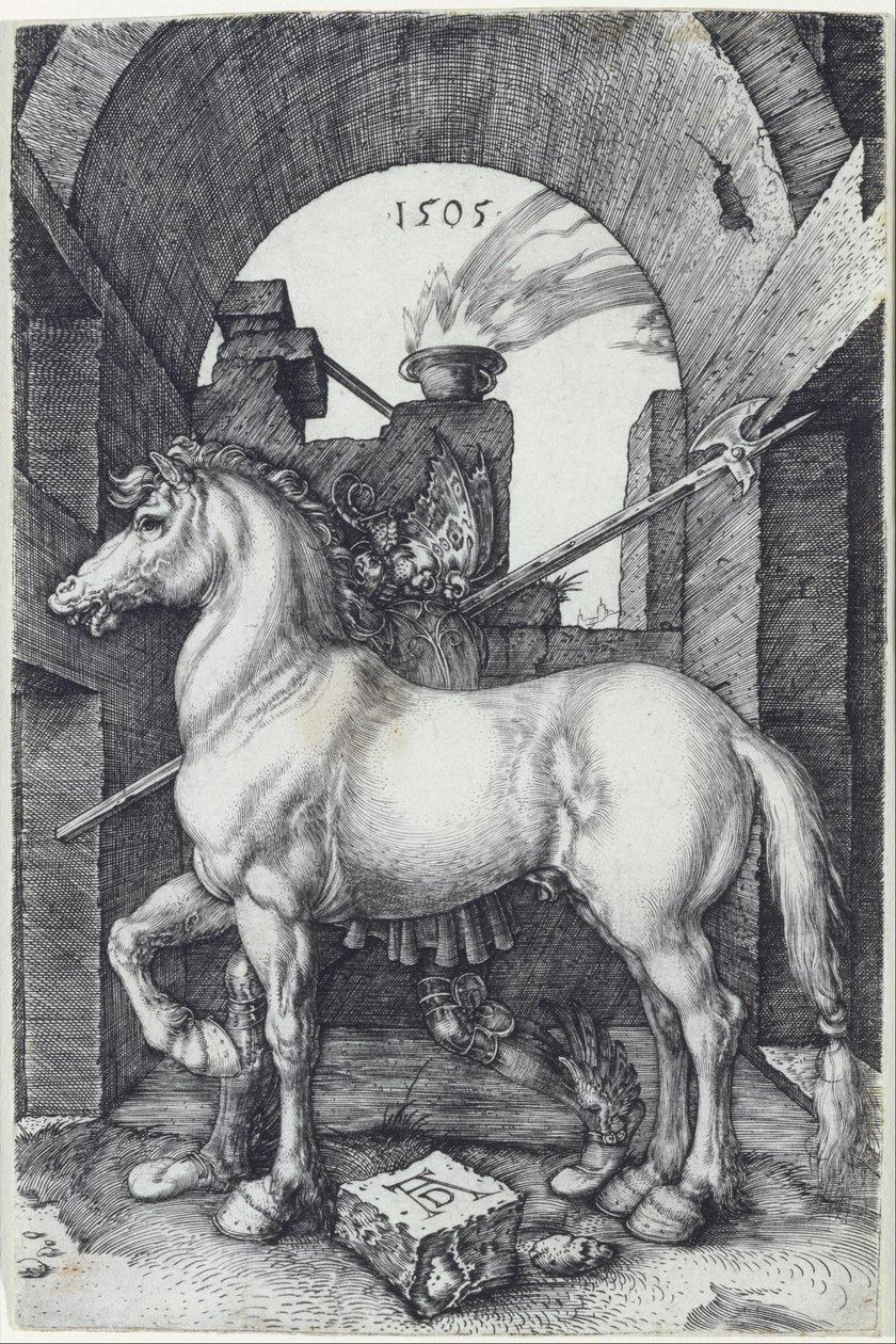 Il piccolo cavallo da Albrecht Dürer