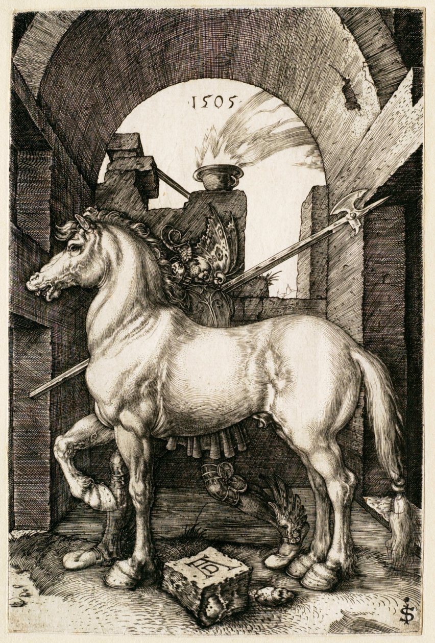 Il piccolo cavallo da Albrecht Dürer