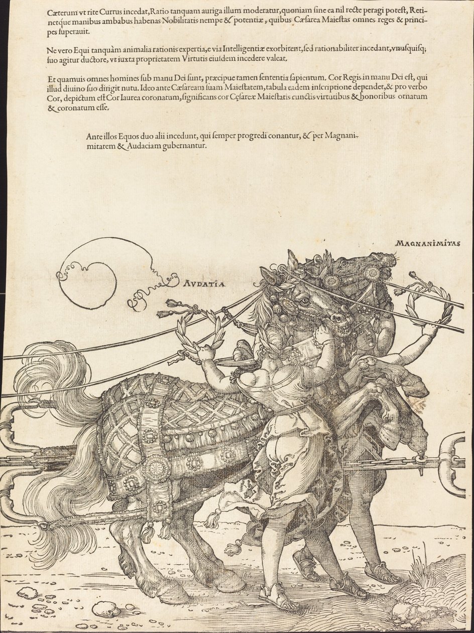 Il carro trionfale di Massimiliano I (Il grande carro trionfale) [tavola 7 di 8] da Albrecht Dürer