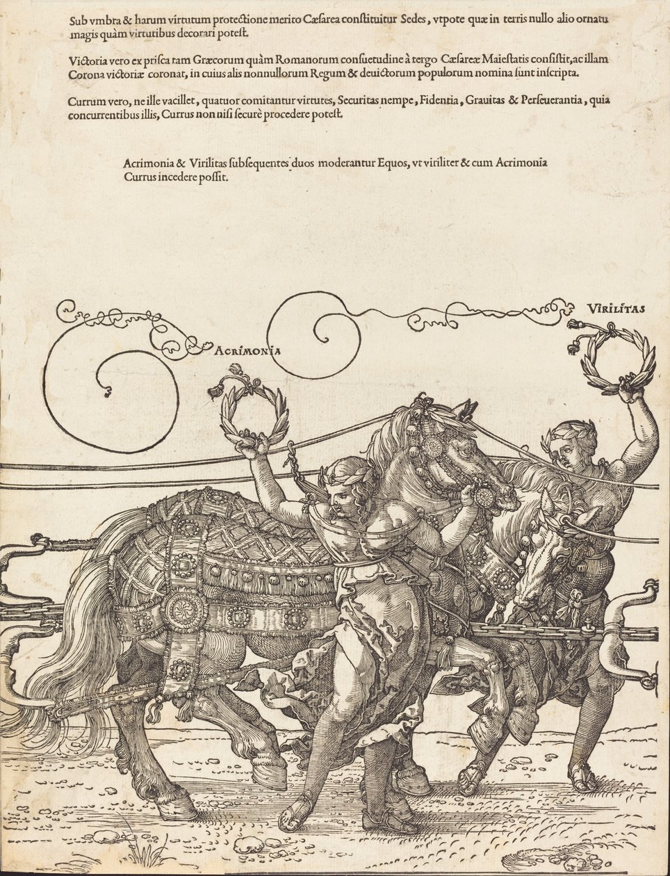 Il carro trionfale di Massimiliano I, Il grande carro trionfale [tavola 6 di 8], 1523 ed. latina da Albrecht Dürer