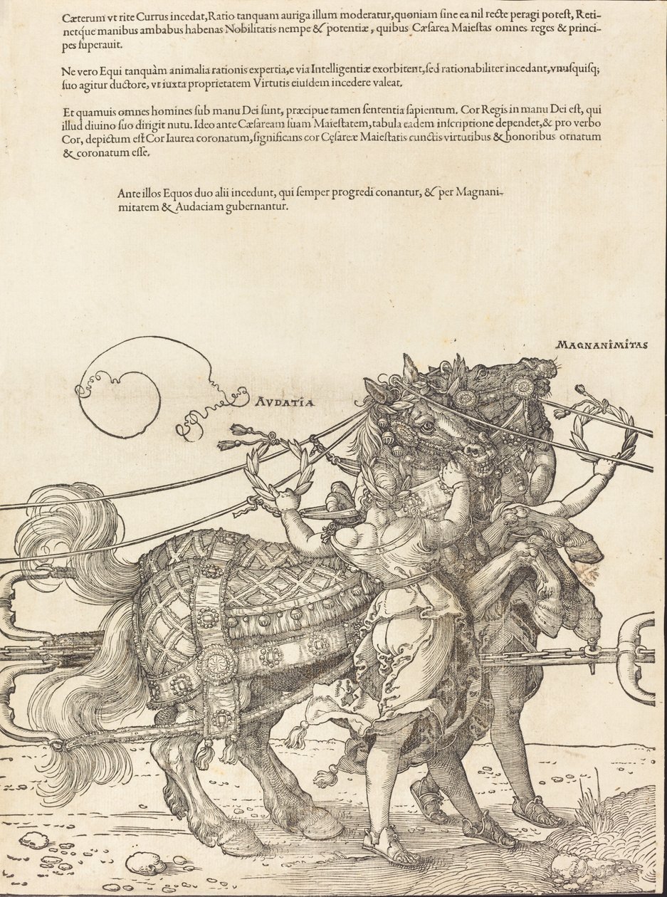 Il Carro Trionfale di Massimiliano I Il Grande Carro Trionfale [tavola 7 di 8] da Albrecht Dürer
