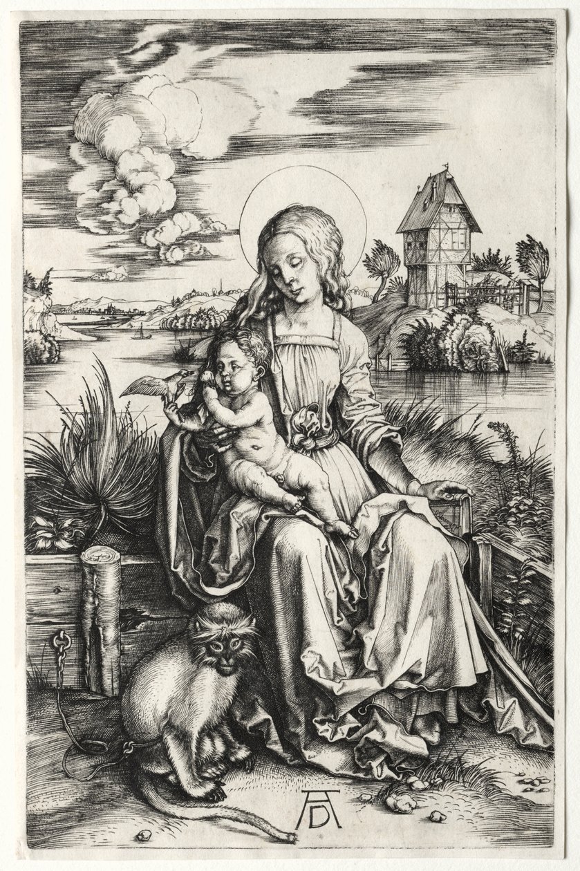 La Vergine e il Bambino con una scimmia da Albrecht Dürer