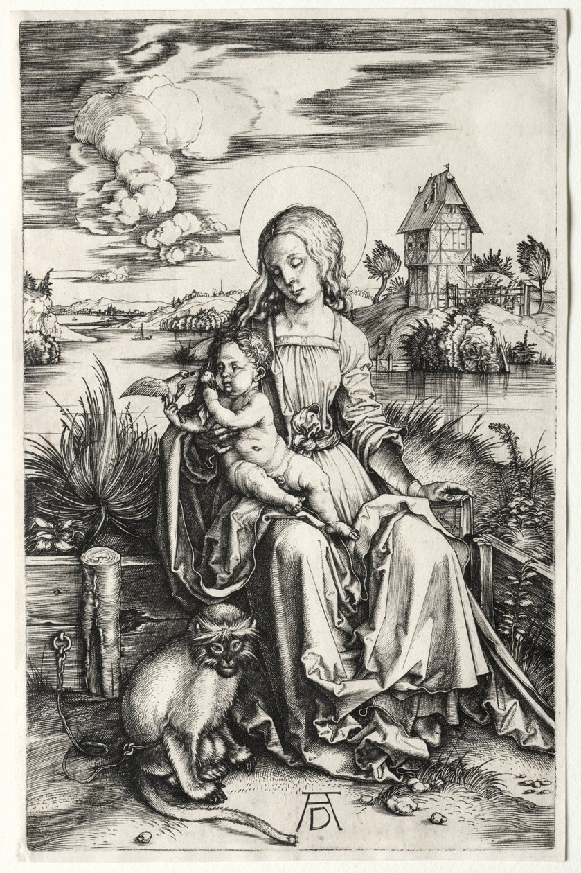 La Vergine e il Bambino con una scimmia, c. 1498 da Albrecht Dürer