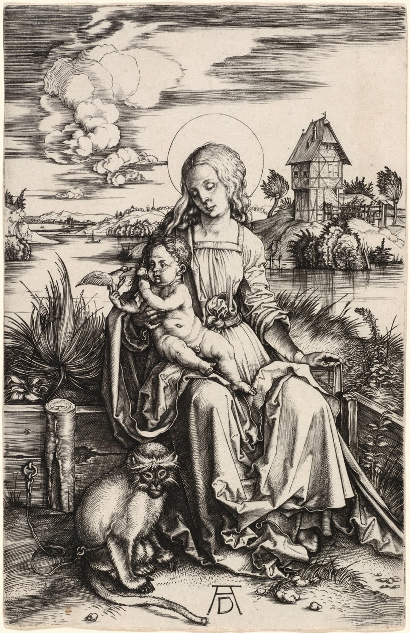 La Madonna con il Bambino e la scimmia da Albrecht Dürer