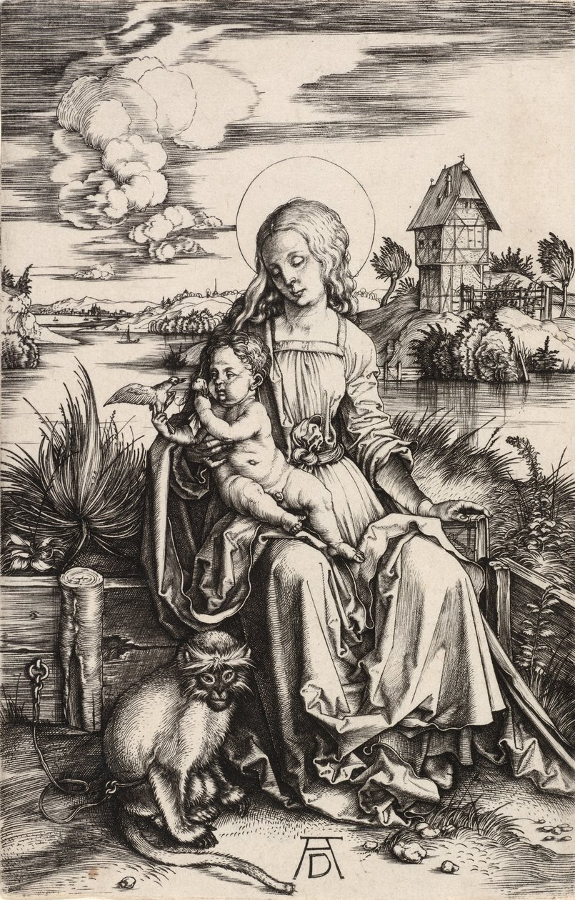 La Vergine e il Bambino con la scimmia da Albrecht Dürer