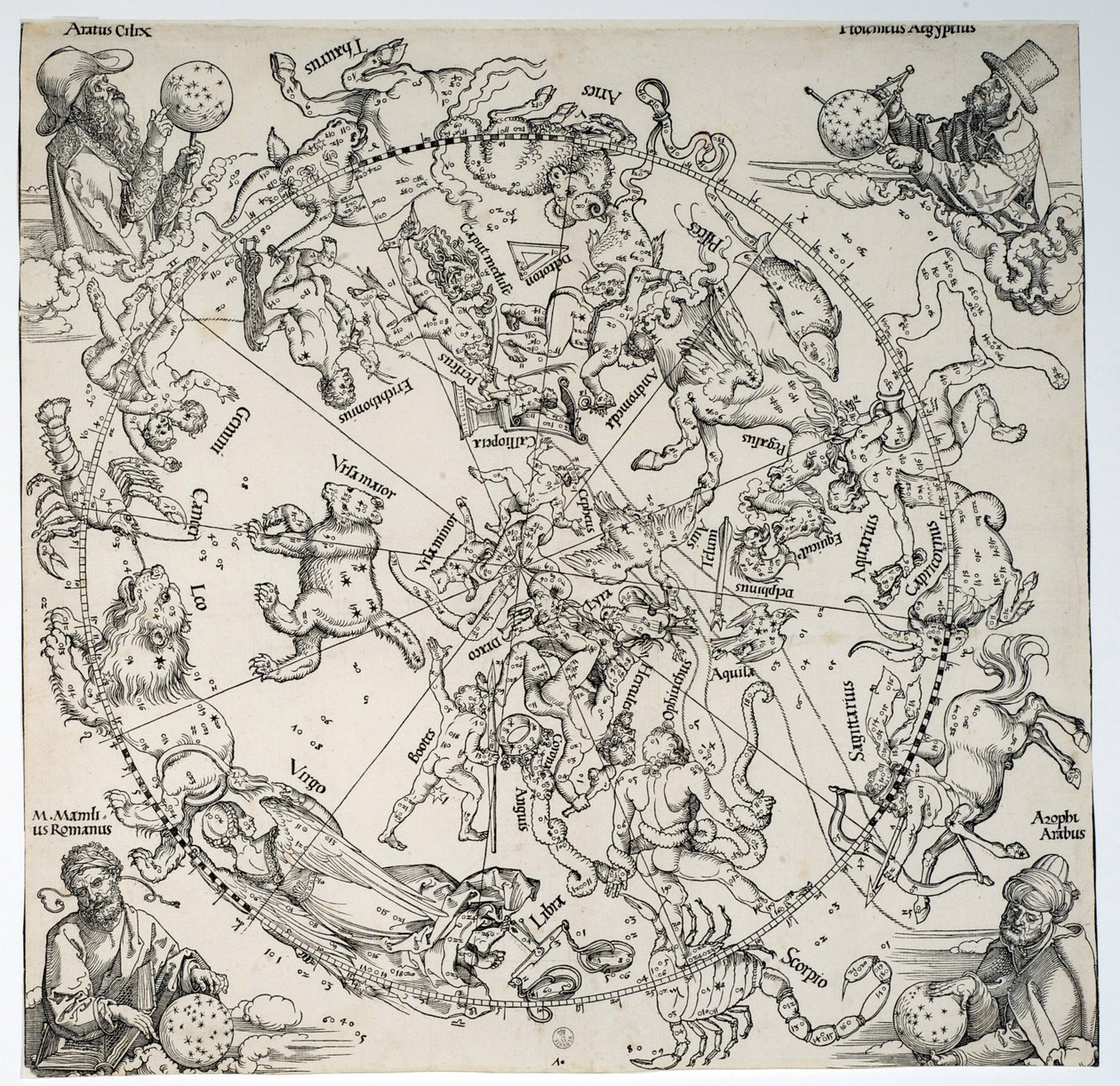 Immagine sconosciuta da Albrecht Dürer