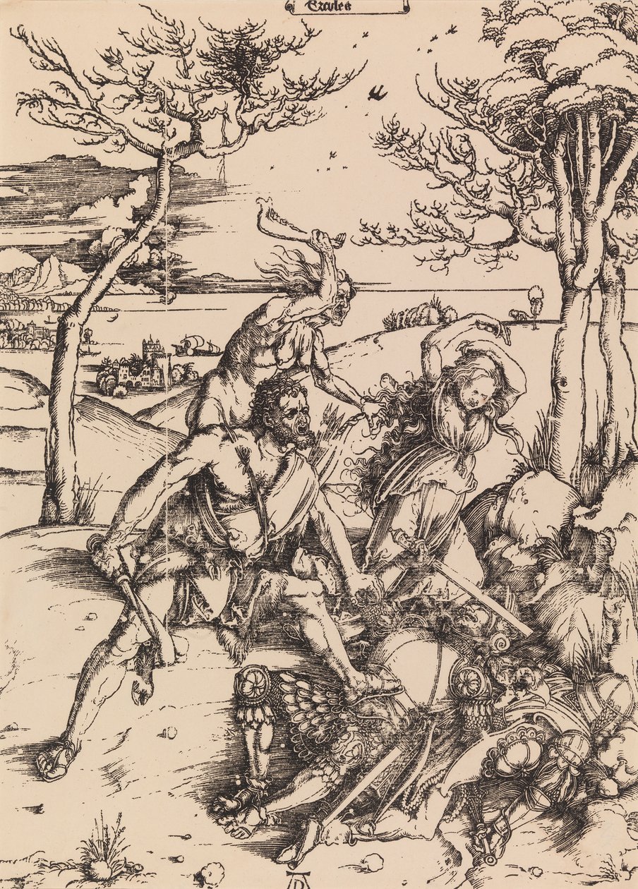 Senza titolo da Albrecht Dürer