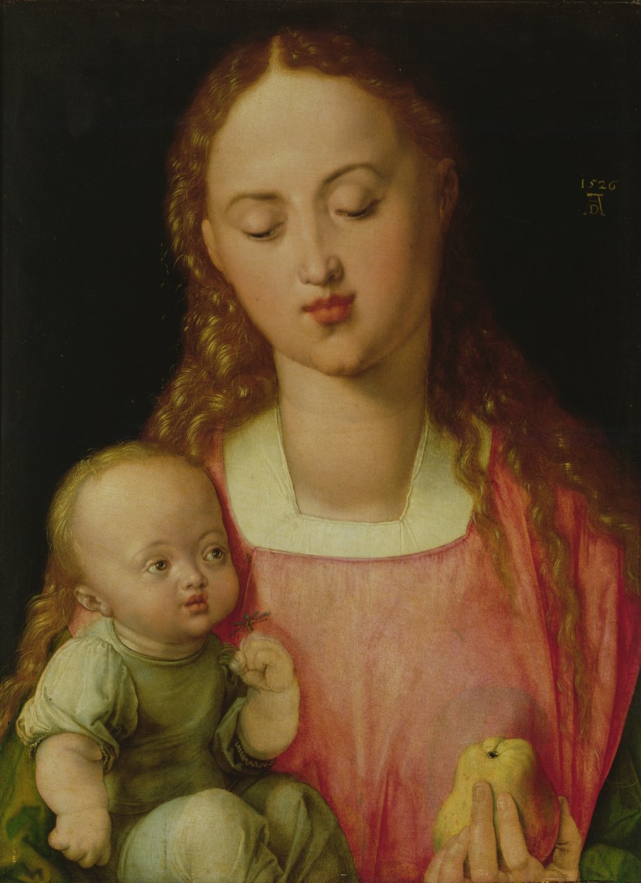 Vergine e Bambino, anche conosciuta come Vergine con la pera, 1526 da Albrecht Dürer
