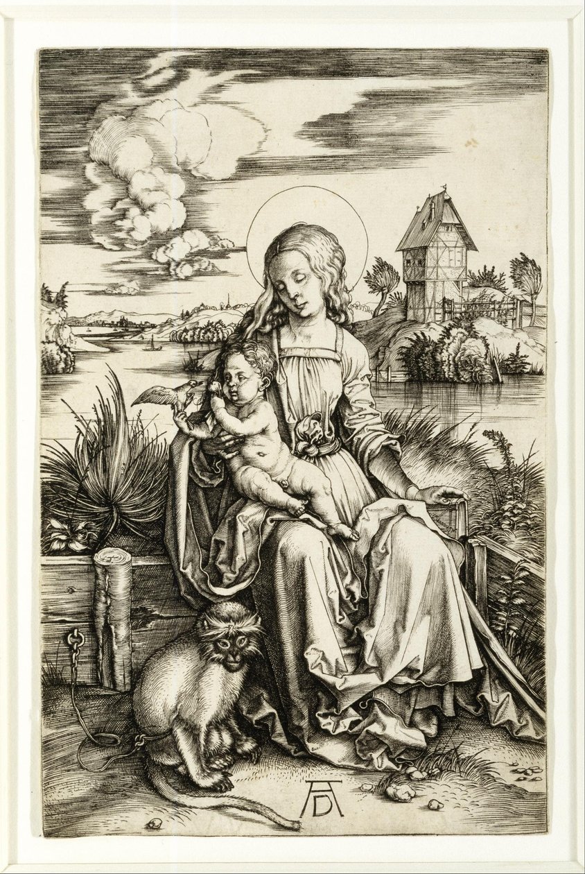 Vergine e Bambino con la scimmia da Albrecht Dürer