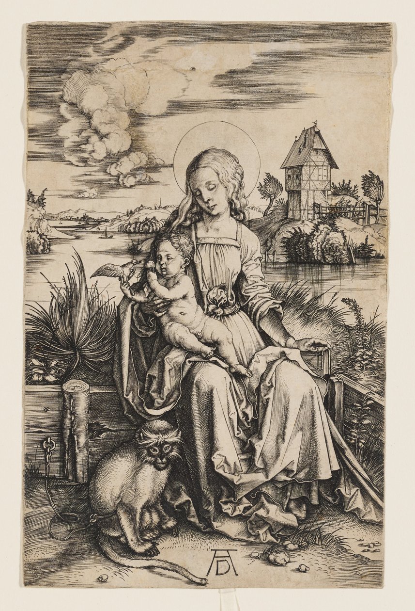 Vergine col Bambino e la scimmia da Albrecht Dürer