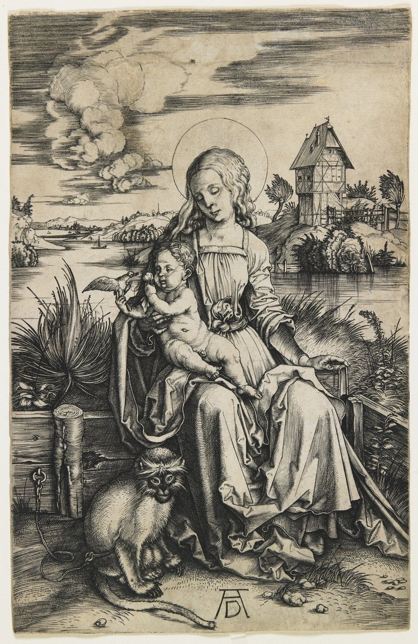 Vergine e Bambino con la scimmia, c. 1498 da Albrecht Dürer