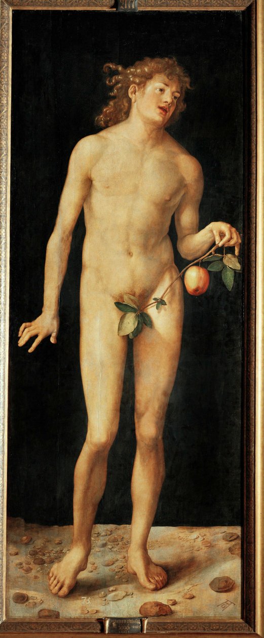 Adamo da Albrecht Dürer or Duerer