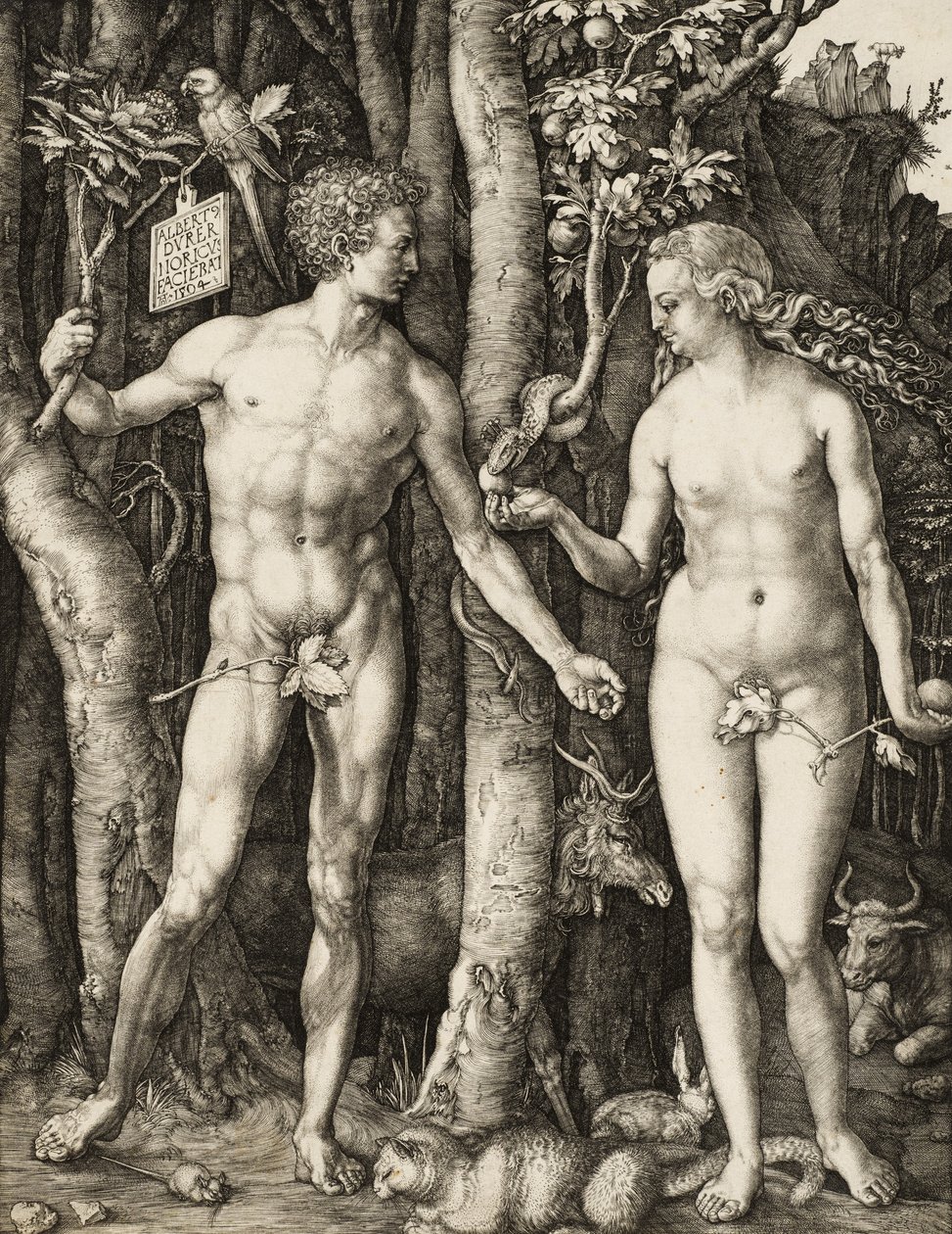Adamo ed Eva da Albrecht Dürer