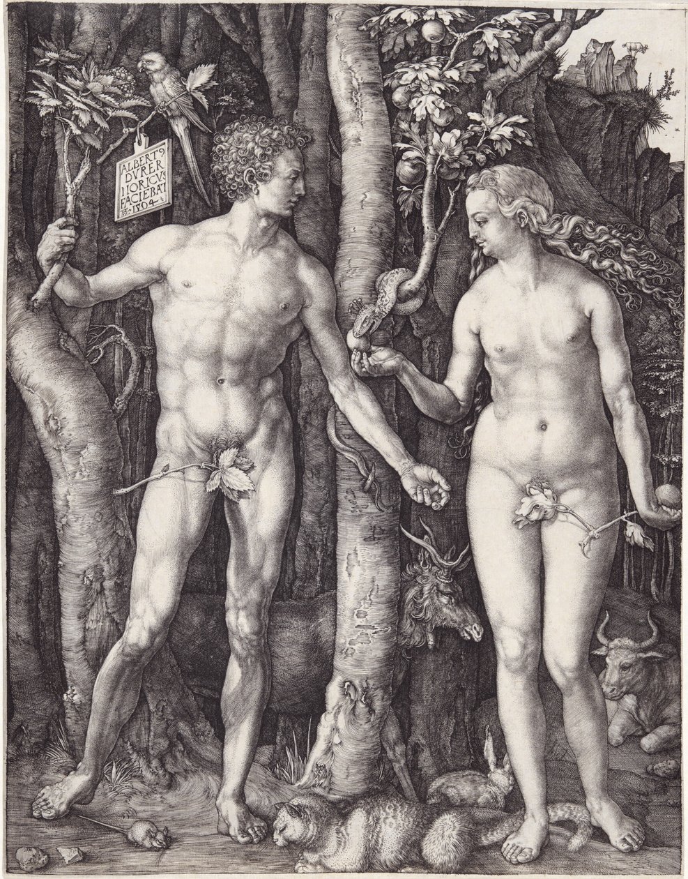 Adamo ed Eva, pub. 1504 da Albrecht Dürer