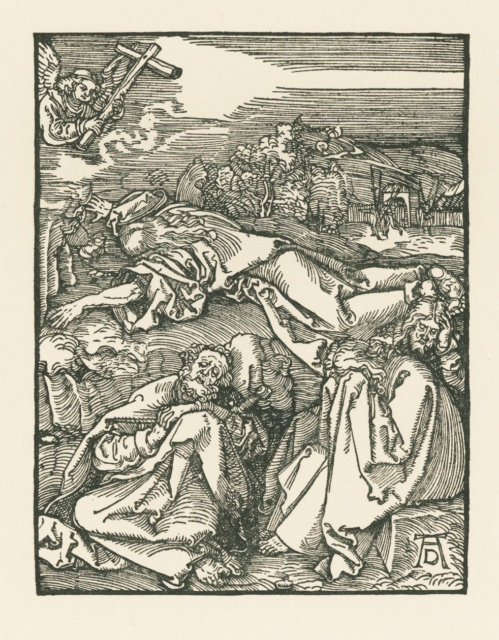 Agonia nell