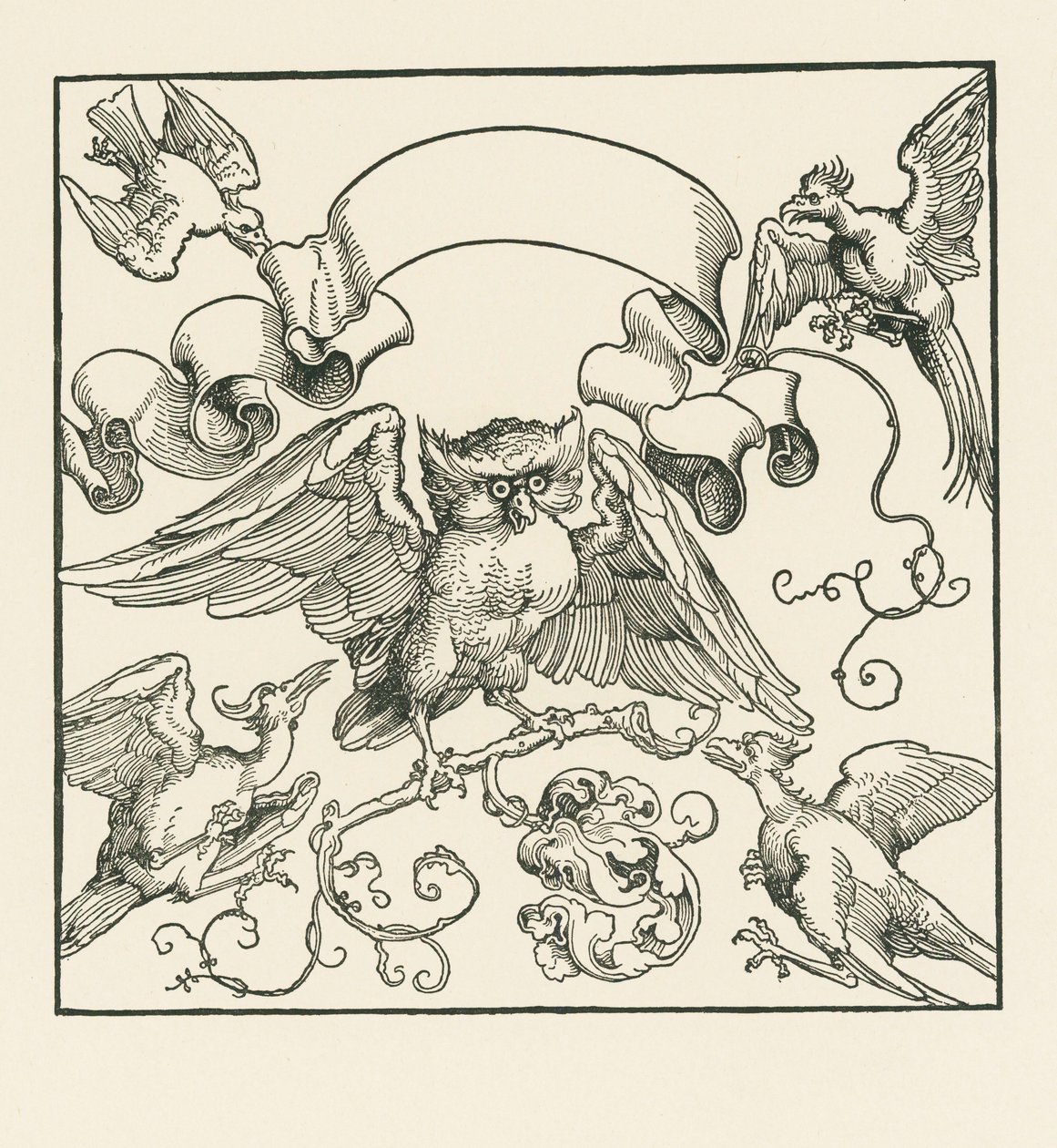 Un gufo attaccato da altri quattro uccelli, 1515 circa (xilografia) da Albrecht Dürer or Duerer
