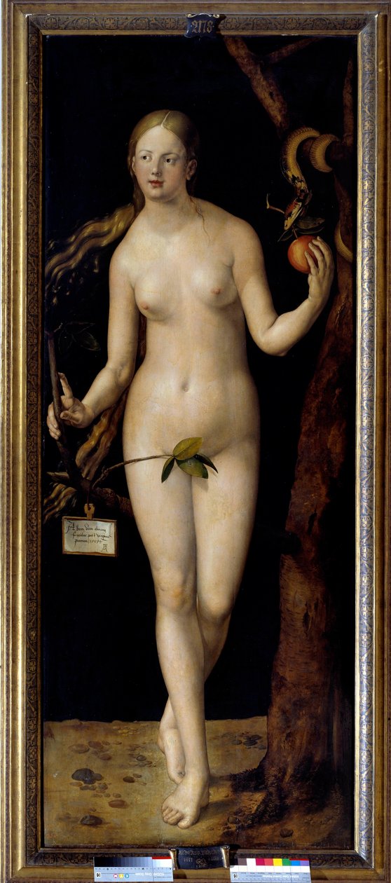 Eva da Albrecht Dürer