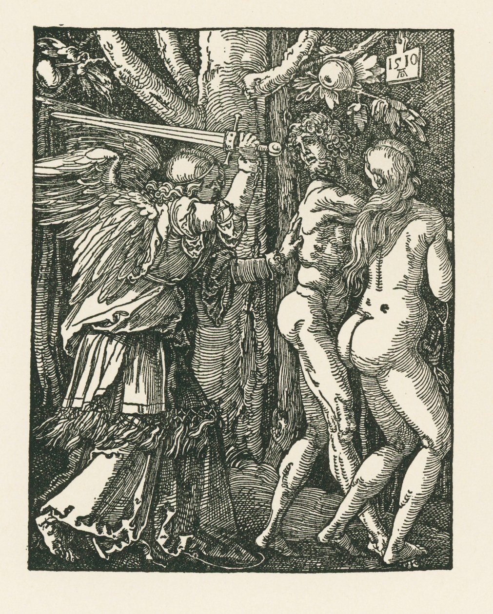 Espulsione dal Paradiso da Albrecht Dürer or Duerer