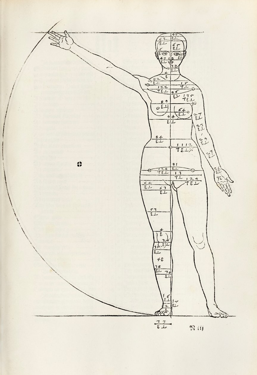 Incisione anatomica femminile da 
