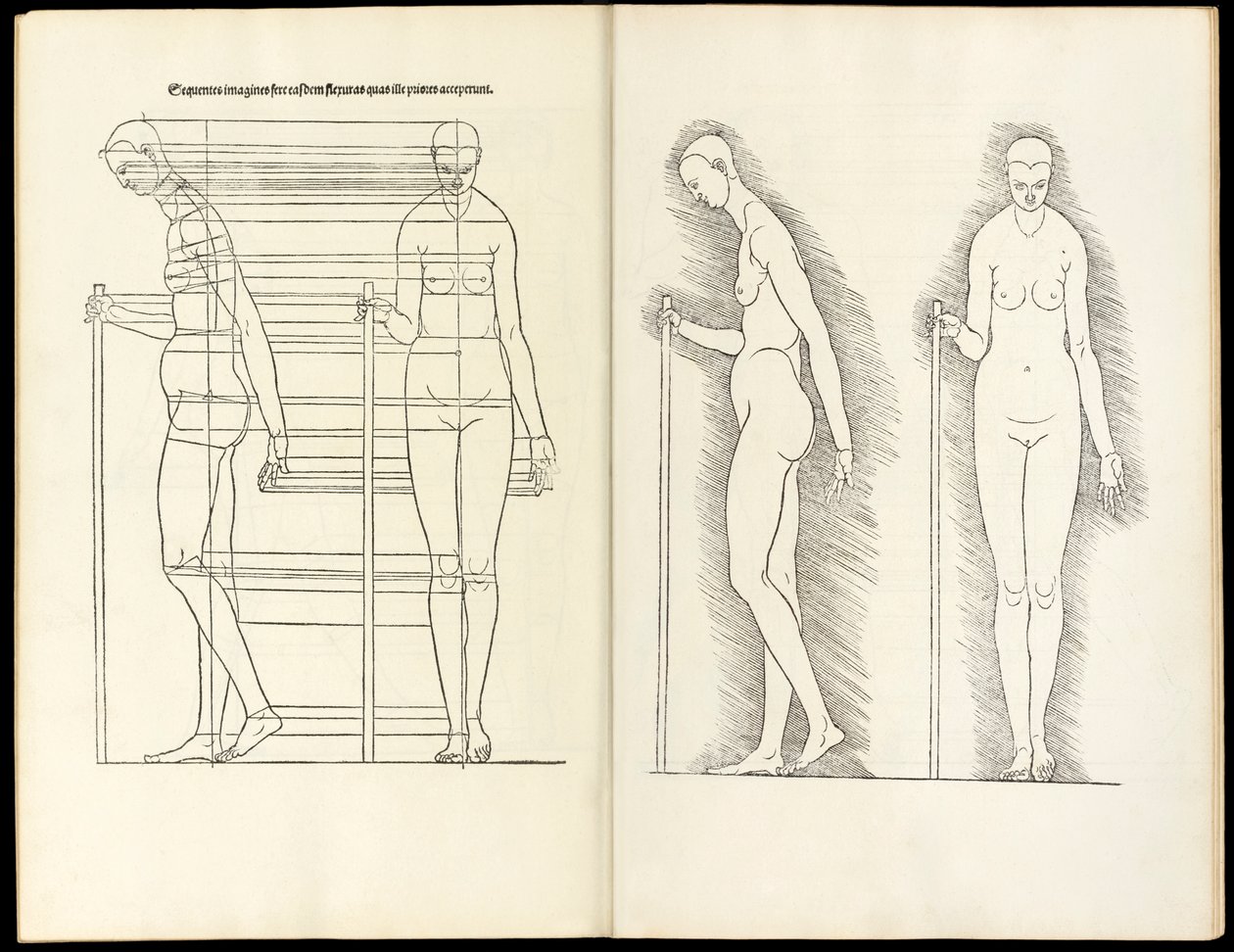 Donna con bastone, xilografia anatomica da Hierinn sind begriffen vier bücher von menschlicher Proportion, 1528 da Albrecht Dürer