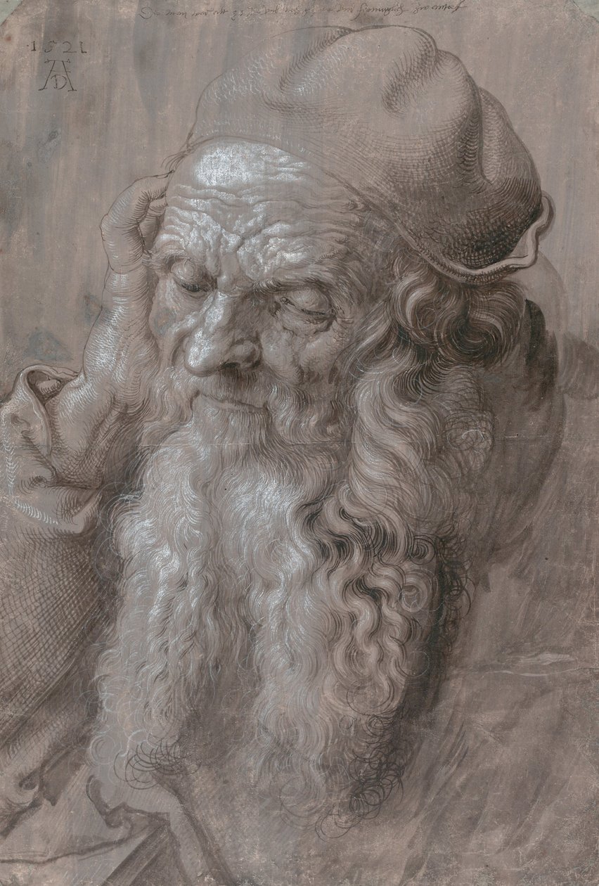Testa di un vecchio da Albrecht Dürer