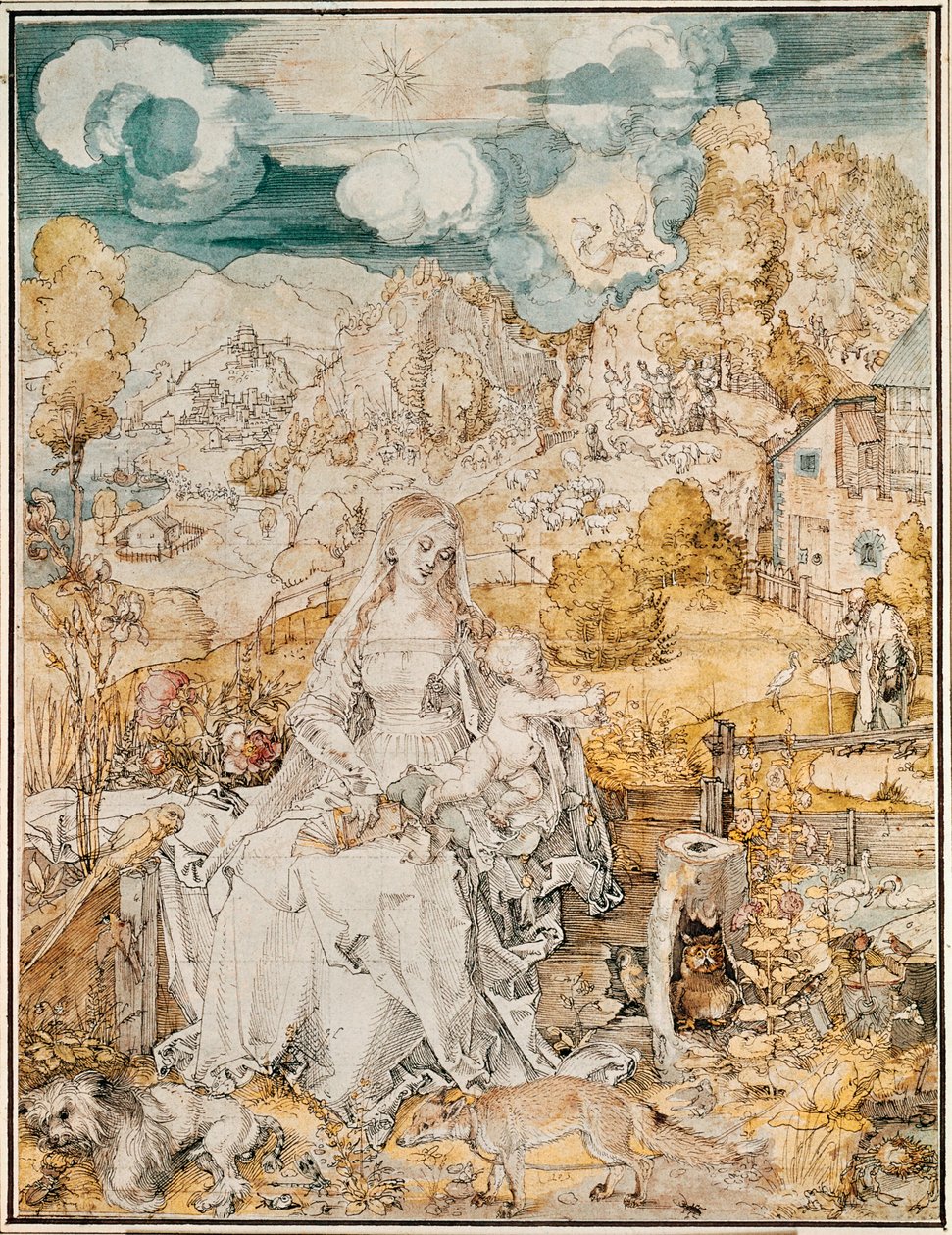 Madonna con una moltitudine di animali (acquerello, penna e pennello su carta) da Albrecht Dürer or Duerer