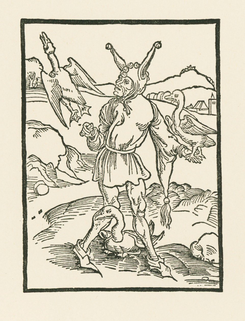 Narr hur as vern da Albrecht Dürer or Duerer