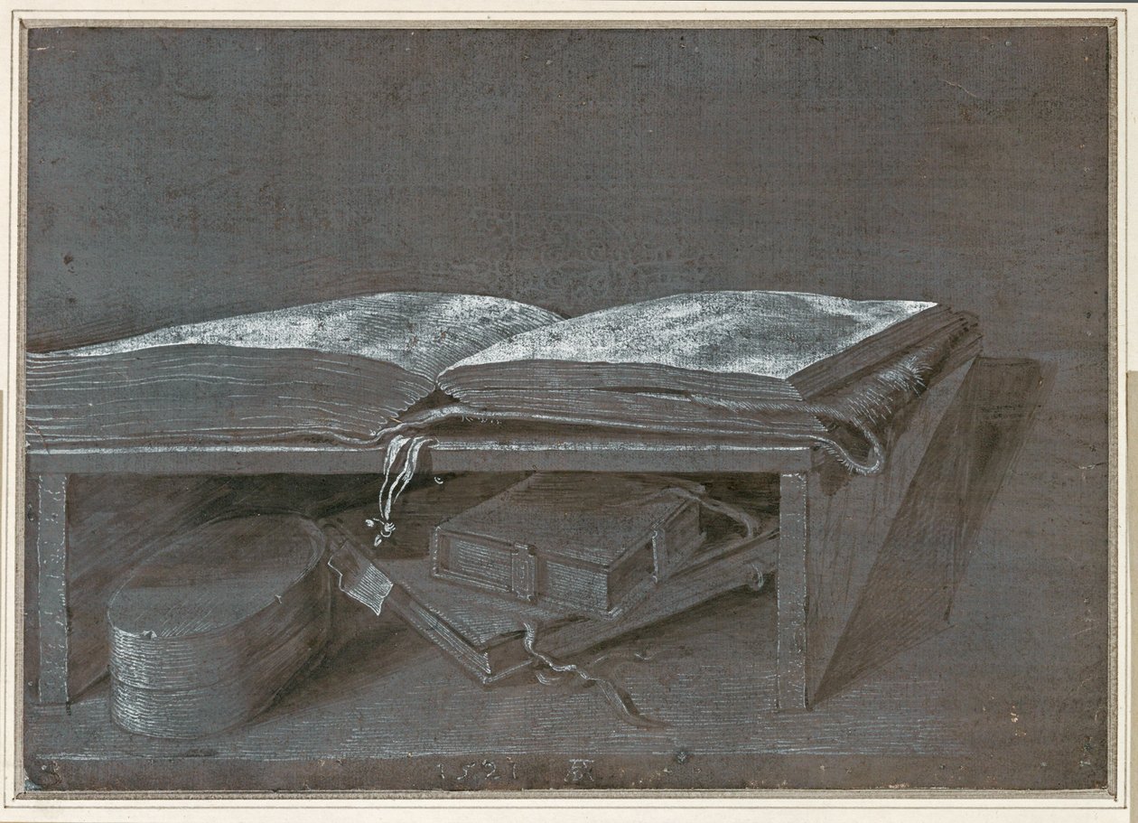 Libro aperto (disegno a pennello su carta marrone) da Albrecht Dürer or Duerer